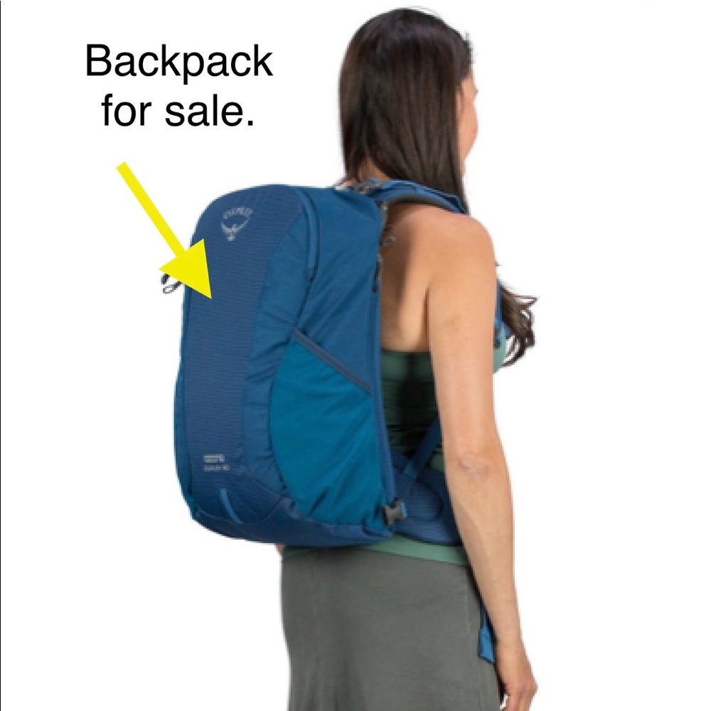 Osprey Duplex convertible bag (main backpack).